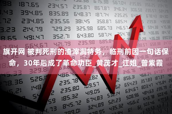 旗开网 被判死刑的渣滓洞特务，临刑前因一句话保命，30年后成了革命功臣_黄茂才_江姐_曾紫霞