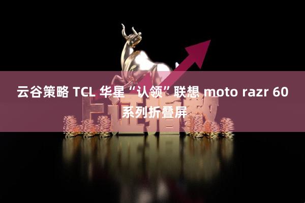 云谷策略 TCL 华星“认领”联想 moto razr 60 系列折叠屏