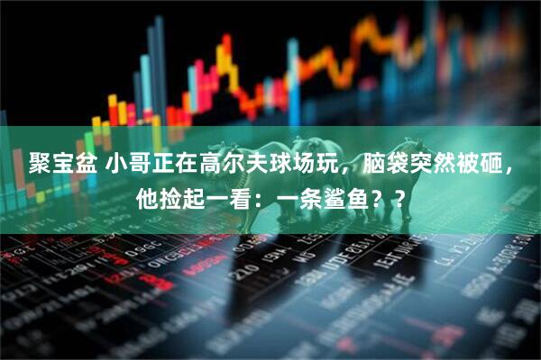 聚宝盆 小哥正在高尔夫球场玩，脑袋突然被砸，他捡起一看：一条鲨鱼？？