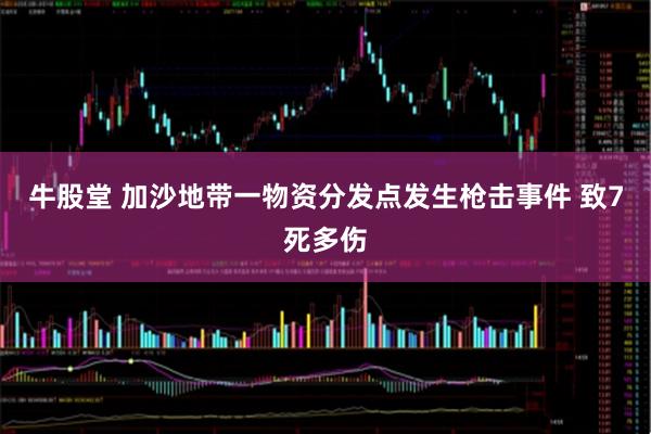 牛股堂 加沙地带一物资分发点发生枪击事件 致7死多伤