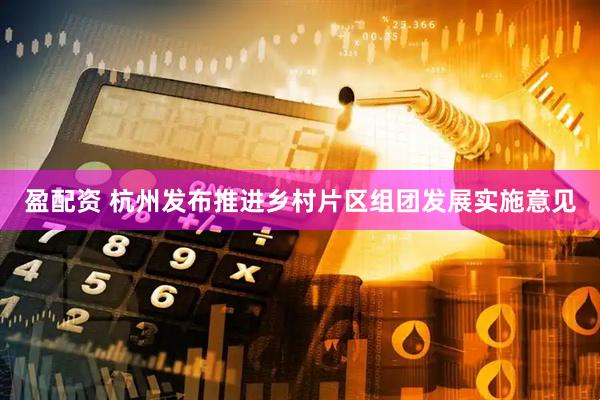盈配资 杭州发布推进乡村片区组团发展实施意见