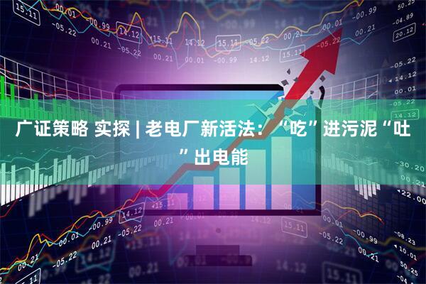 广证策略 实探 | 老电厂新活法：“吃”进污泥“吐”出电能