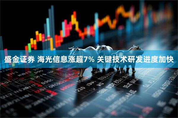 盛金证券 海光信息涨超7% 关键技术研发进度加快
