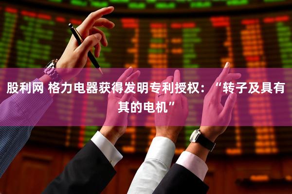 股利网 格力电器获得发明专利授权：“转子及具有其的电机”