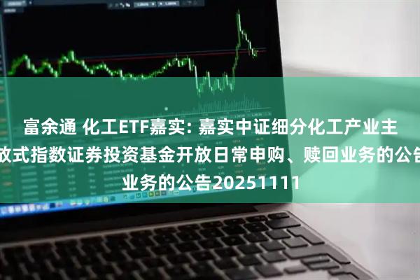 富余通 化工ETF嘉实: 嘉实中证细分化工产业主题交易型开放式指数证券投资基金开放日常申购、赎回业务的公告20251111