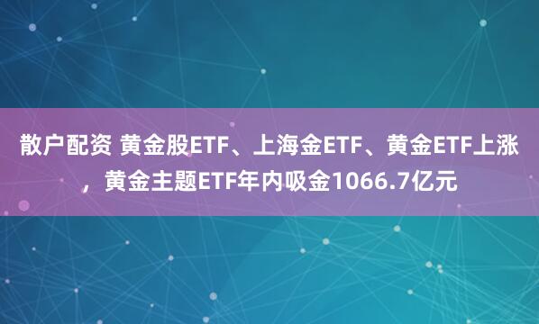 散户配资 黄金股ETF、上海金ETF、黄金ETF上涨，黄金主题ETF年内吸金1066.7亿元