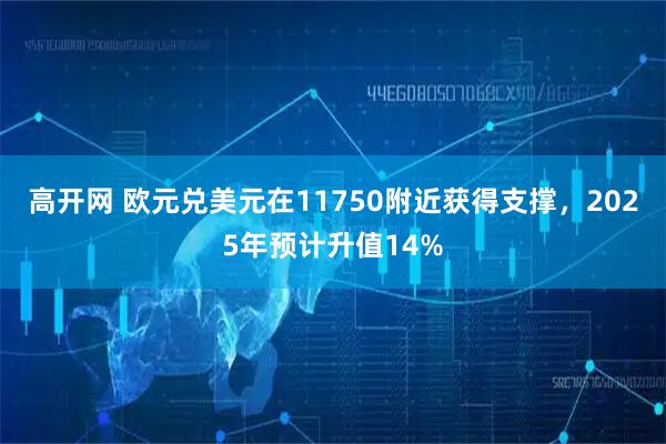 高开网 欧元兑美元在11750附近获得支撑，2025年预计升值14%